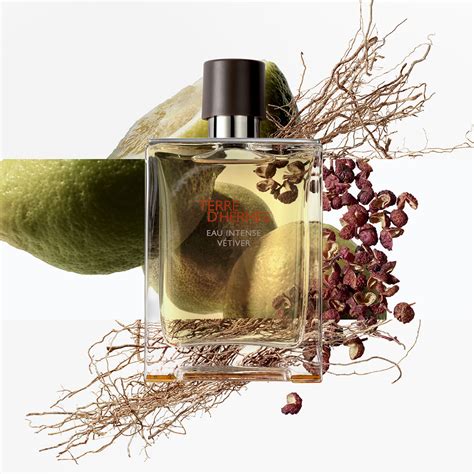 terre d hermes eau intense vetiver eau de parfum 100ml|terre d'hermes basenotes.